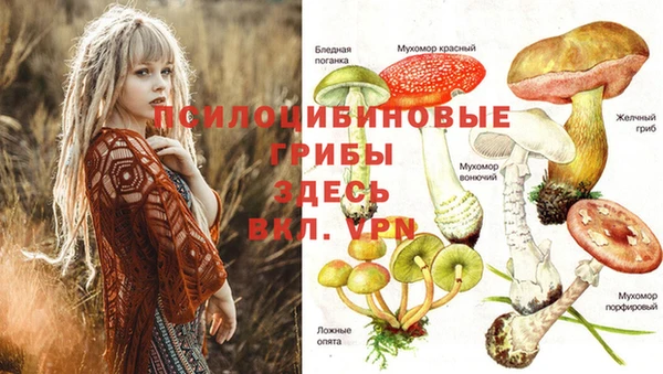 MDMA Premium VHQ Надым