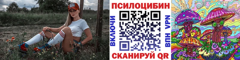Купить закладки  Томари  Галлюциногенные грибы Magic Shrooms 