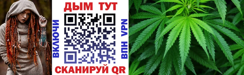 Бошки Шишки семена  Купить где  Томари 